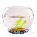 wholesale clear large small round glass fish bowl